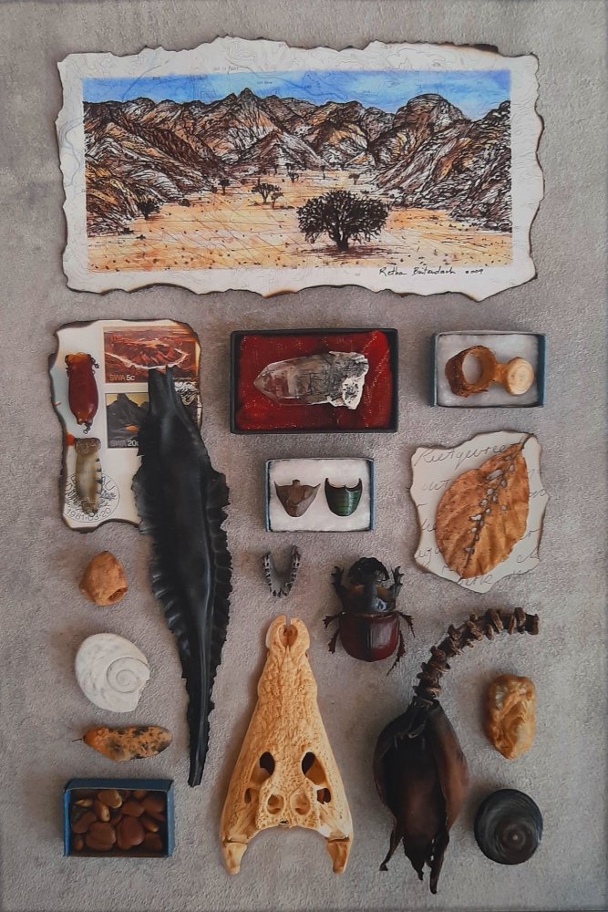 Retha Buitendach - Curiosity Cabinet 3